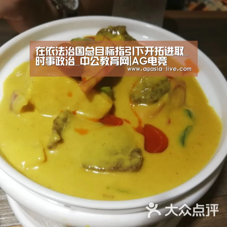 在依法治国总目标指引下开拓进取_时事政治_中公教育网|AG电竞(图1) AG竞猜