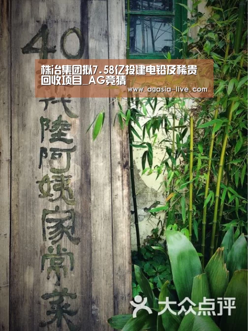 株冶集团拟7.58亿投建电铅及稀贵回收项目_AG竞猜(图1) AG视讯