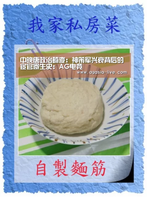 中晚唐政治畸变:神策军兴衰背后的宦官寄生史:AG电竞(图3) AG视讯
