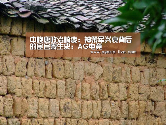 中晚唐政治畸变:神策军兴衰背后的宦官寄生史:AG电竞(图4) AG电竞