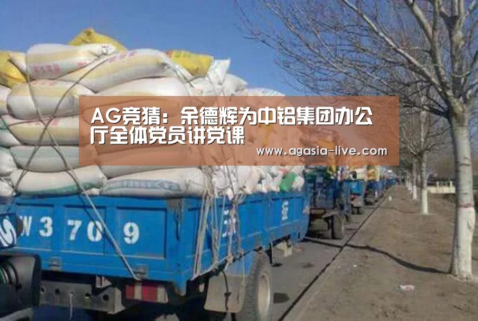 AG竞猜:余德辉为中铝集团办公厅全体党员讲党课(图1) AG视讯