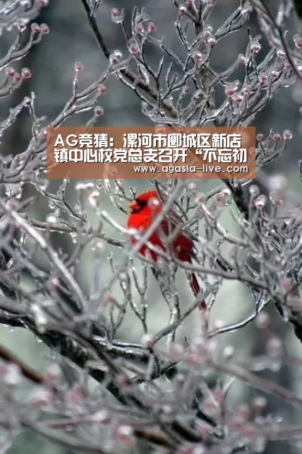 AG电竞