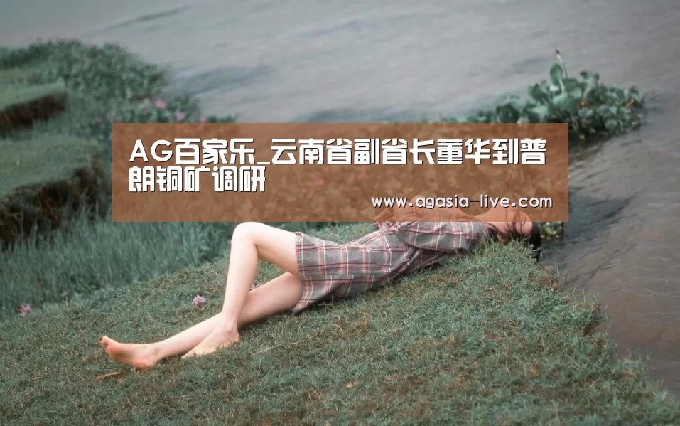 AG视讯