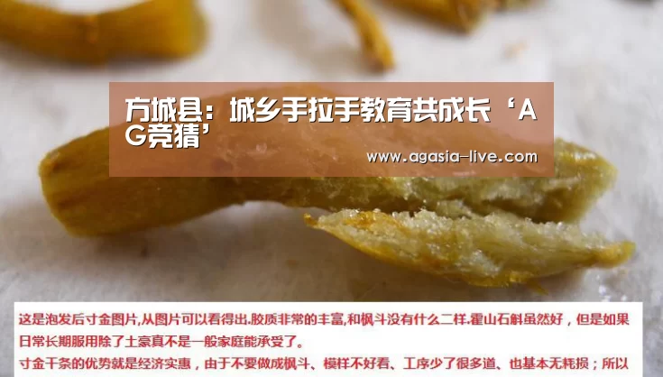 方城县:城乡手拉手教育共成长‘AG竞猜’(图3) AG视讯