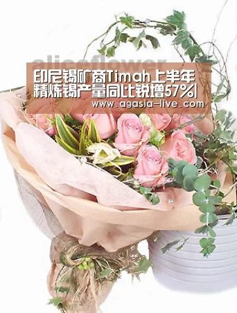 印尼锡矿商Timah上半年精炼锡产量同比锐增57%|AG百家乐(图2) AG视讯