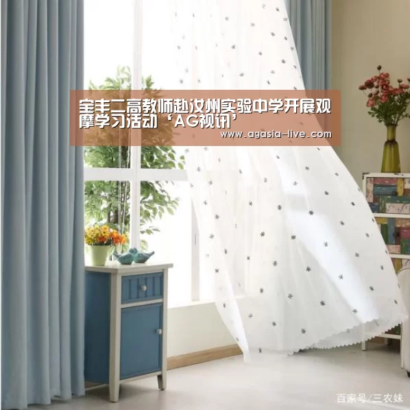 宝丰二高教师赴汝州实验中学开展观摩学习活动‘AG视讯’(图3) AG电竞