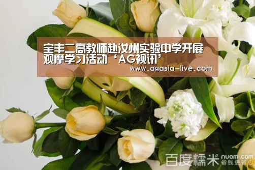 宝丰二高教师赴汝州实验中学开展观摩学习活动‘AG视讯’(图4) AG电竞