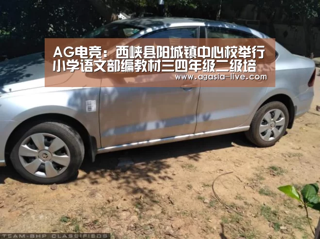 AG电竞:西峡县阳城镇中心校举行小学语文部编教材三四年级二级培训活动(图2) AG电竞