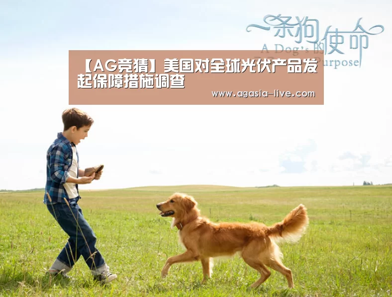 【AG竞猜】美国对全球光伏产品发起保障措施调查(图2) AG竞猜