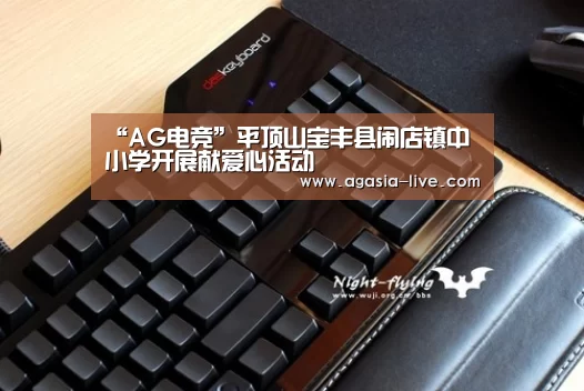 “AG电竞”平顶山宝丰县闹店镇中小学开展献爱心活动(图1) AG百家乐