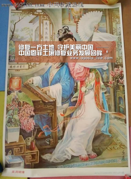 修复一方土地 守护美丽中国 ——中国恩菲土壤修复业务发展回眸‘AG视讯’(图1) AG电竞