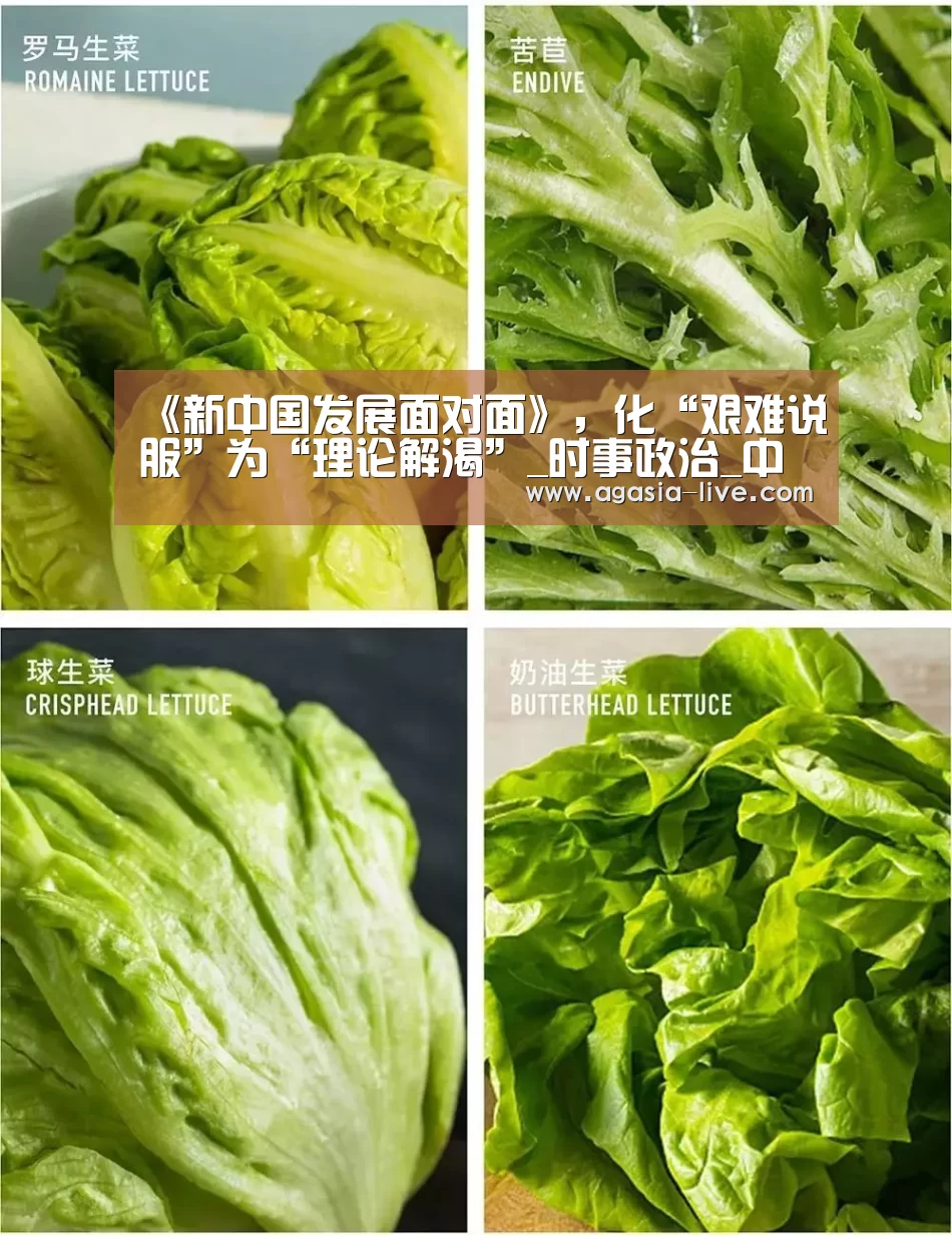 AG视讯