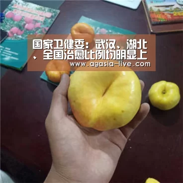 AG竞猜