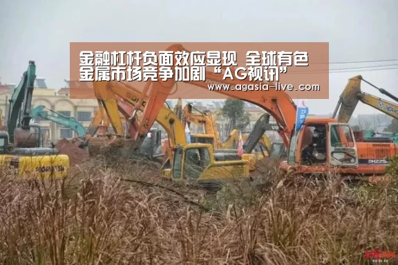 金融杠杆负面效应显现 全球有色金属市场竞争加剧“AG视讯”(图2) AG视讯