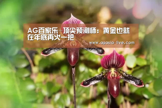 AG百家乐-顶尖预测师:黄金也就在年底再火一把(图3) AG竞猜